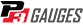 P3 Gauges - Corporate Logo